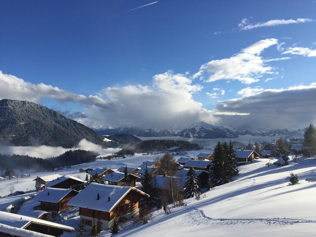 Apartament La Petite Silene Leysin Pokój zdjęcie